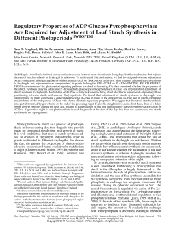 Regulatory Properties of ADP Glucose