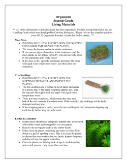 Organisms Second Grade Living Materials