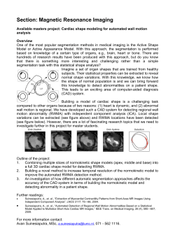 LKEB-LUMC Medical Image Processing projects