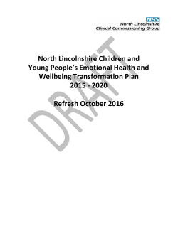 North Lincolnshire Children and Young People`s Emotional Health