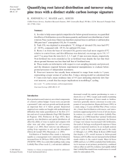 Quantifying root lateral distribution and turnover using pine trees