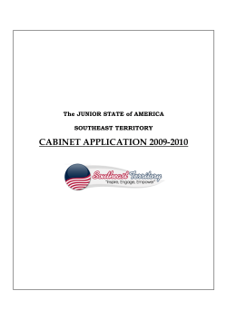 cabinet application 2009-2010