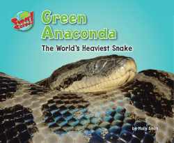 Green Anaconda - Bearport Publishing