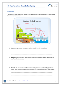 IB Style Questions about Carbon Cycling