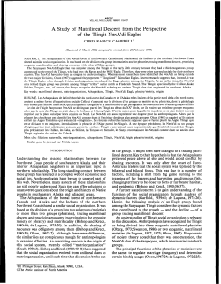 A Study of Matrilineal Descent from the Perspective
