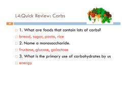 L4 Carbohydrates 2