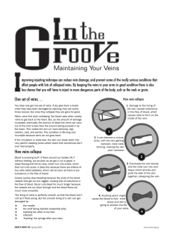 One set of veins&hellip;