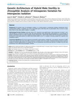 Genetic Architecture of Hybrid Male Sterility in Drosophila: Analysis