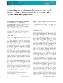 evidence from maximum size of extant surfclam