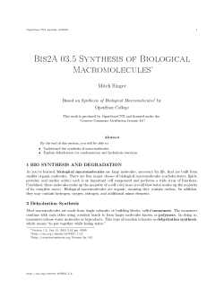 Bis2A 03.5 Synthesis of Biological Macromolecules