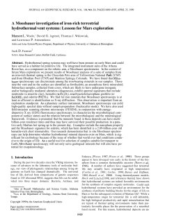 A Mossbauer investigation of iron-rich terrestrial hydrothermal vent