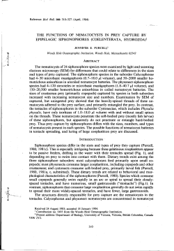 THE FUNCTIONS OF NEMATOCYSTS IN PREY CAPTURE BY