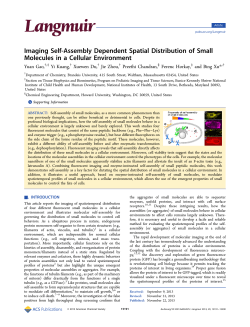 Imaging Self-Assembly Dependent Spatial