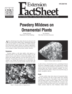 Factsheet from Ohio State University