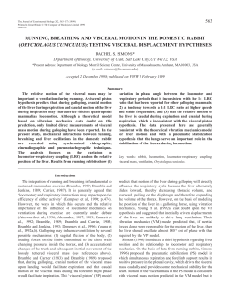Running, breathing and visceral motion in rabbits