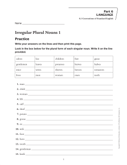Irregular Plural Nouns 1 - Macmillan/McGraw-Hill