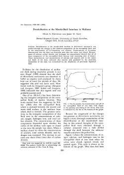 Decalcification at the Mantle-Shell Interface in Molluscs Dental