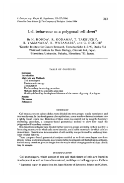 Cell behaviour in a polygonal cell sheet - Development
