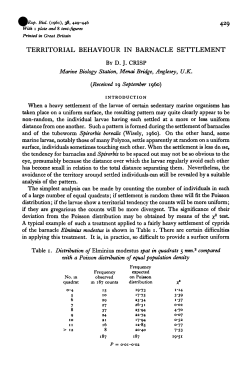 TERRITORIAL BEHAVIOUR IN BARNACLE SETTLEMENT