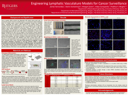 HER2+ cells - The Rutgers-NSF REU in Cellular Bioengineering