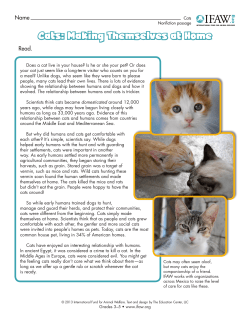 Cats: Making Themselves at Home
