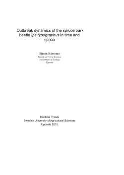 Outbreak dynamics of the spruce bark beetle Ips typographus
