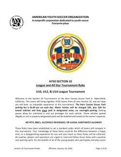 AMERICAN YOUTH SOCCER ORGANIZATION