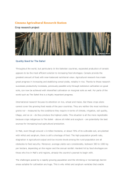 Quality seed for the Sahel.