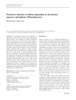 Protective function of silicon deposition in
