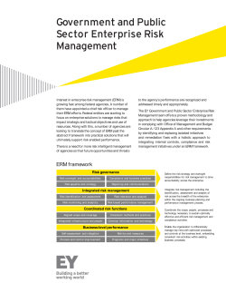 Government and Public Sector Enterprise Risk Management