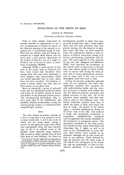 EVOLUTION OF THE NESTS OF BEES