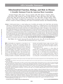 Mitochondrial Function, Biology, and Role in Disease