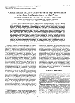 Characterization of Lactobacilli by Southern