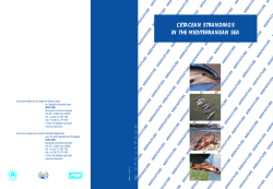 English - Caribbean Environment Programme