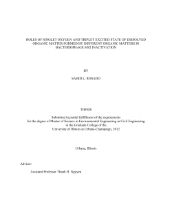 ROLES OF SINGLET OXYGEN AND TRIPLET EXCITED STATE OF