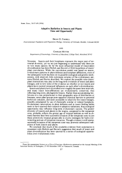 Adaptive Radiation in Insects and Plants: Time