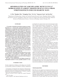 ABNORMALITIES OF SARCOPLASMIC RETICULUM