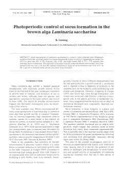 Full text in pdf format