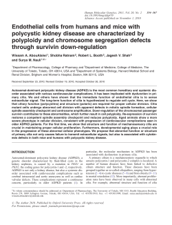 Endothelial cells from humans and mice with polycystic kidney