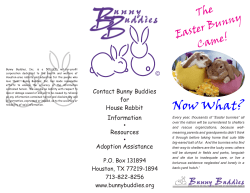 The Easter Bunny Came--Now What