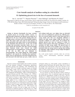 Cost&ndash;benefit analysis of mollusc-eating in a shorebird