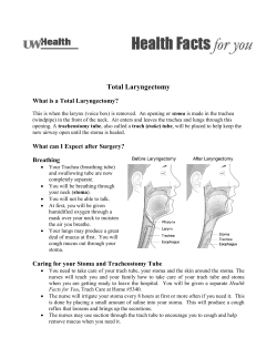 Total Laryngectomy