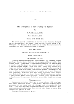 The a new Family of Spiders - UTas ePrints