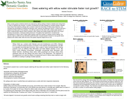 Does watering with willow water stimulate faster root