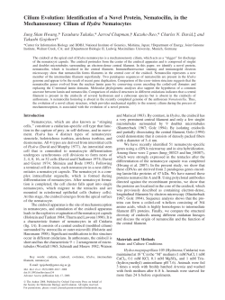Cilium Evolution: Identification of a Novel Protein, Nematocilin, in the