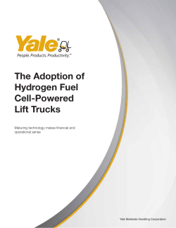 The Adoption of Hydrogen Fuel Cell