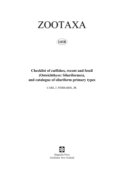 Checklist of catfishes, recent and fossil