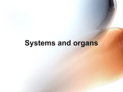 Systems and organs