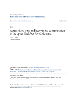 Aquatic food webs and heavy metal contamination in the upper