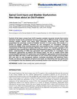 Spinal Cord Injury and Bladder Dysfunction: New Ideas